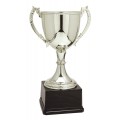 CZC-Series  Silver Zinc Metal Cup 